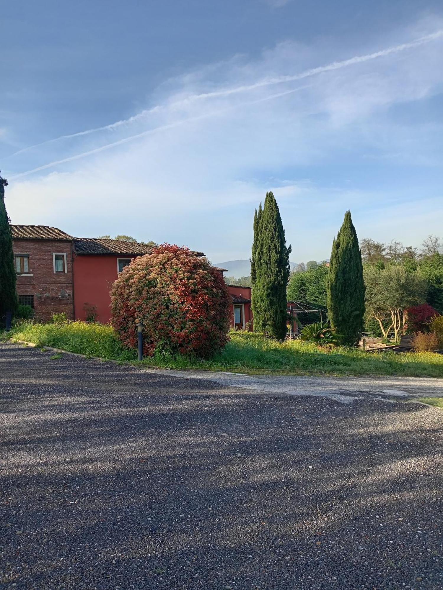 Al Sangallo Agriturismo Montecarlo Buitenkant foto