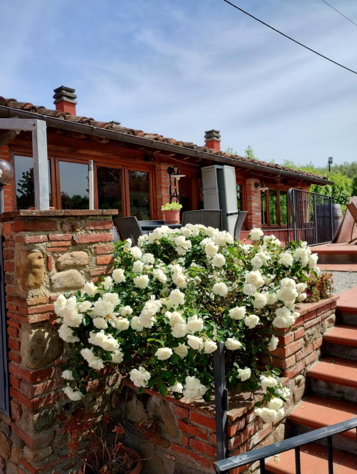 Al Sangallo Agriturismo Montecarlo Buitenkant foto